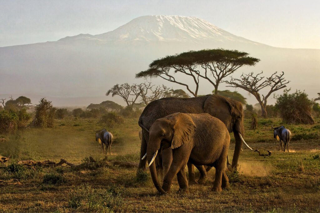 Amboseli