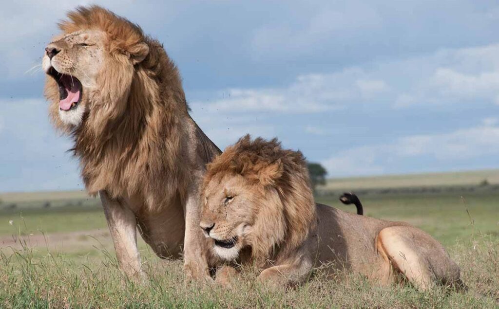 Nairobi National Park