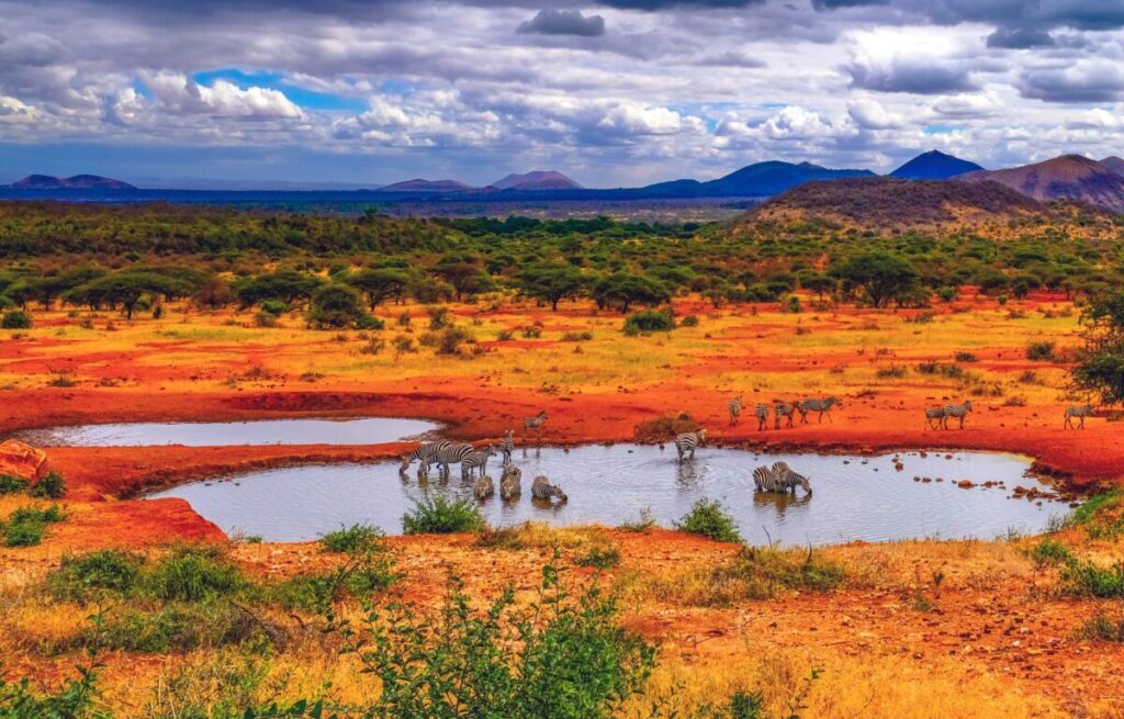 tsavo national park