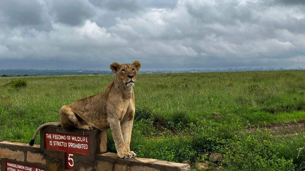 Nairobi National Park