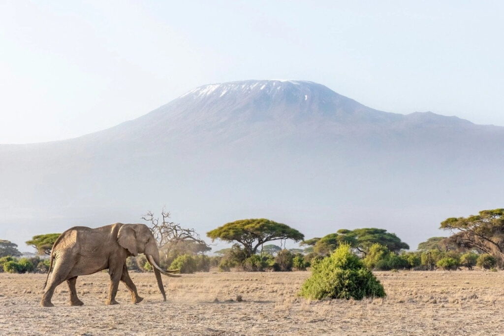 Amboseli