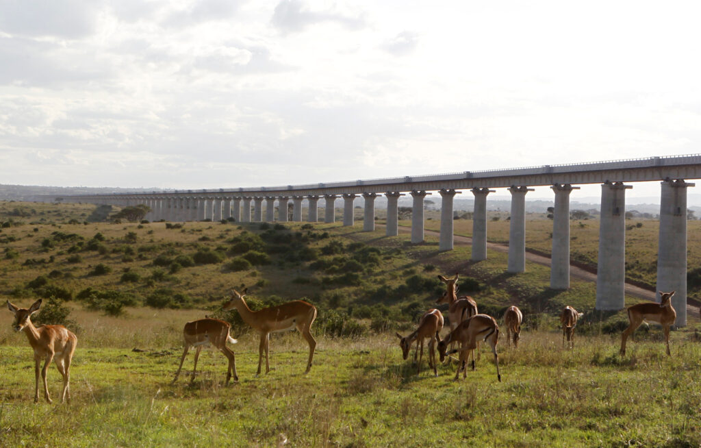 Nairobi National Park