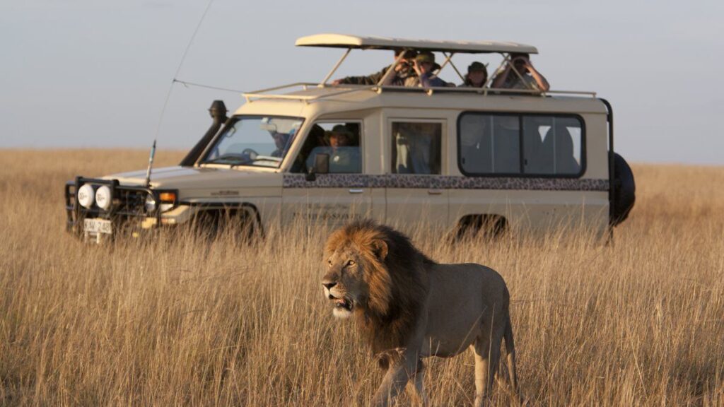 Kenya Safari