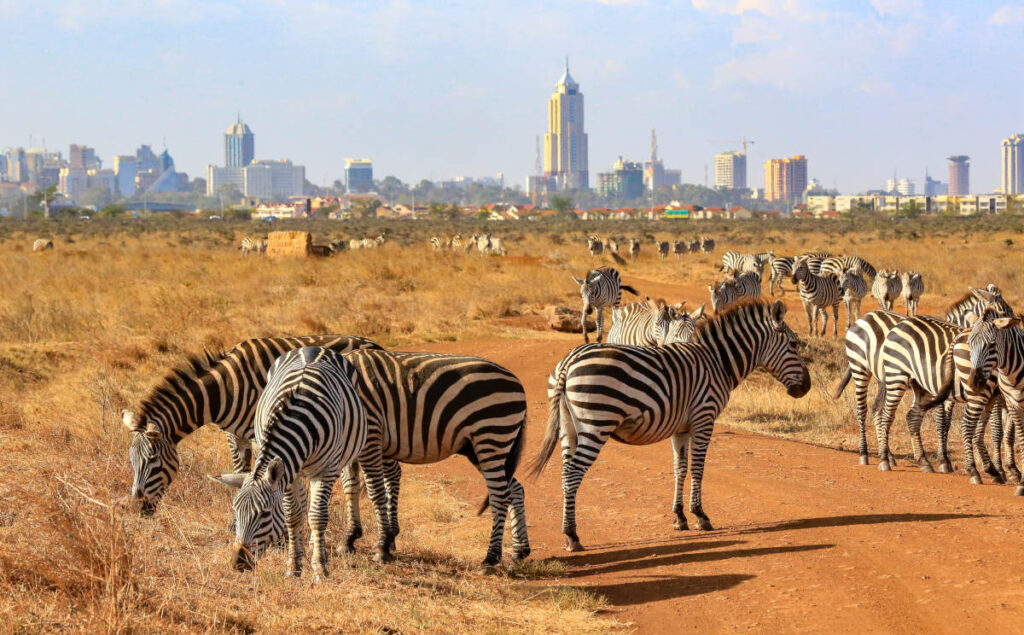 Nairobi National Park