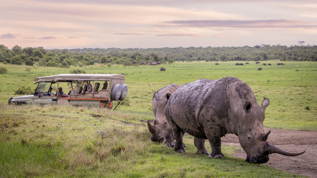 ol pejeta conservancy