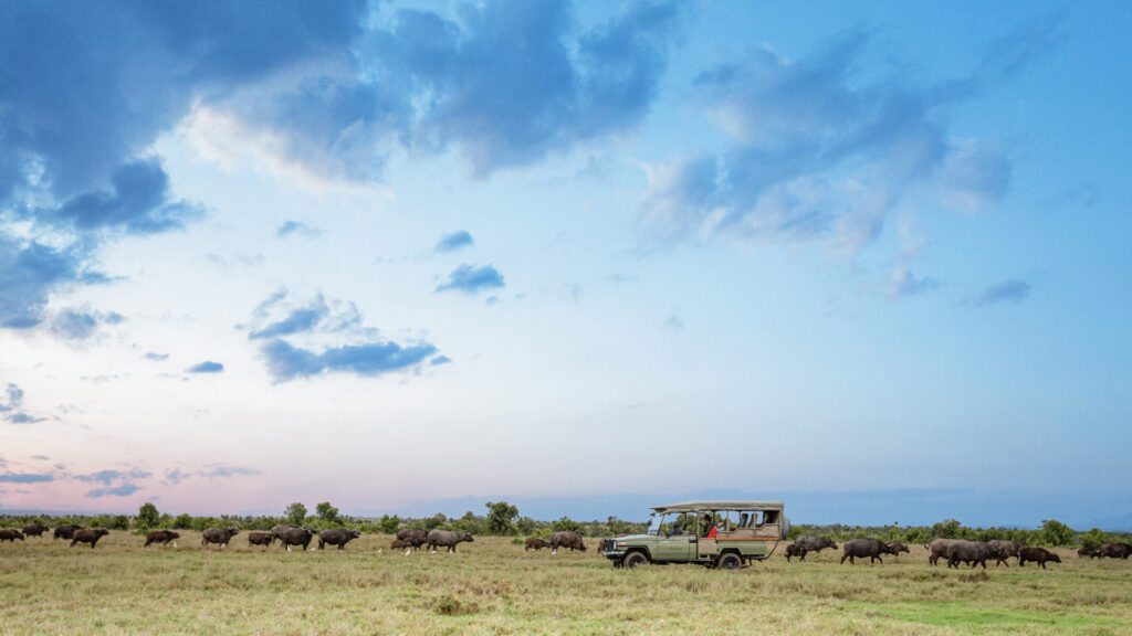 ol pejeta conservancy