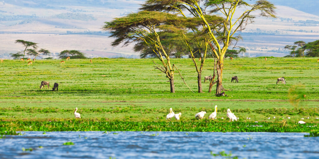 lake naivasha national park